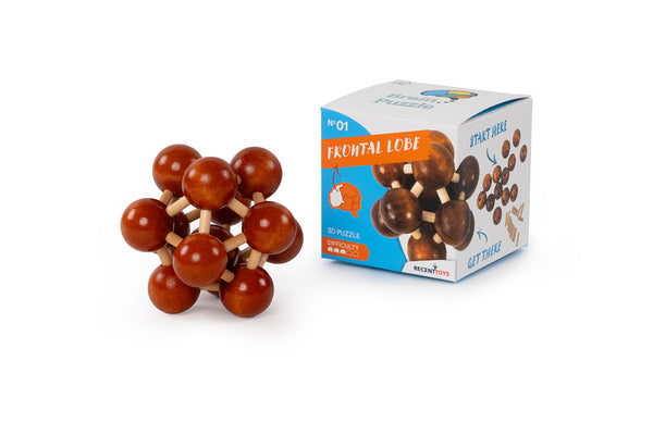 Brain Puzzle N01: Frontal Lobe