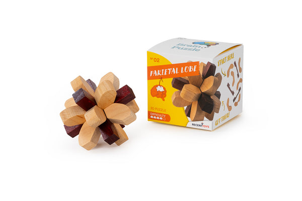 Brain Puzzle N02: Parietal Lobe