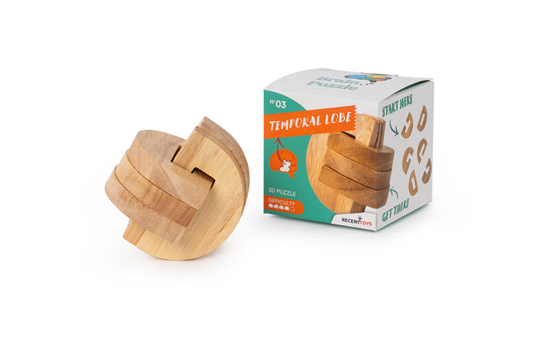 Brain Puzzle N03: Temporal Lobe